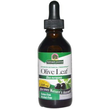 Nature's Answer Olive Leaf liść oliwki europejskiej suplement diety 60ml