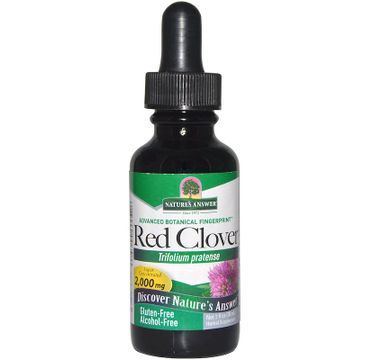 Nature's Answer Red Clover Extract ekstrakt z kwiatów czerwonej koniczyny suplement diety 30ml