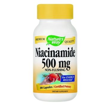 Nature's Way Niacinamide 500mg niacynamid suplement diety 100 kapsułek