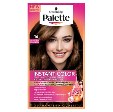 Palette Instant Color szamponetka do każdego typu włosów koloryzująca czekoladowy brąz nr 16 25 ml