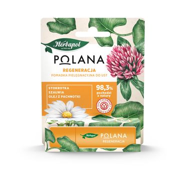 Polana – Pomadka pielęgnacyjna do ust Regeneracja (4.7 g)