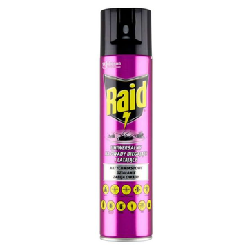 Raid Spray przeciw owadom na owady biegające i latające (410 ml)