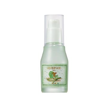 Skinfood Lettuce & Cucumber Watery Essence nawadniające serum do twarzy z organiczną sałatą i ogórkiem (45 ml)