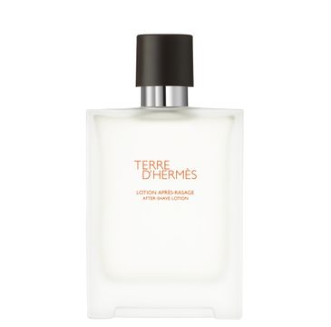 Terre D'Hermes woda po goleniu (100 ml)