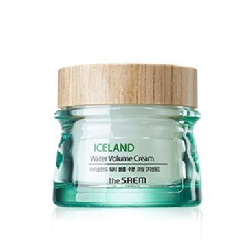 The SAEM Iceland Water Volume Cream Krem nawilżający do twarzy - cera tłusta 80 ml