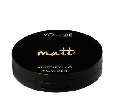 Vollare Cosmetics Matt Puder matujący w kamieniu nr 10 (10 g)