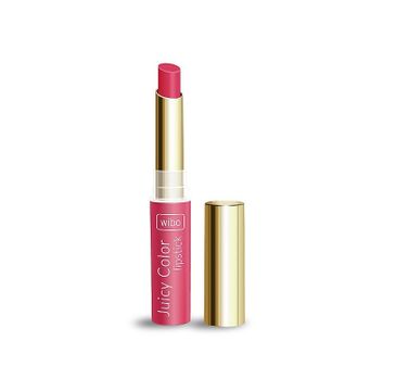 Wibo Juicy Color Lipstick pomadka i balsam do ust 4 (2.5 ml)