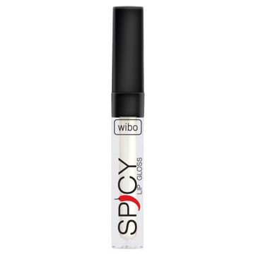 Wibo Lip Gloss Spicy błyszczyk do ust 10 3ml