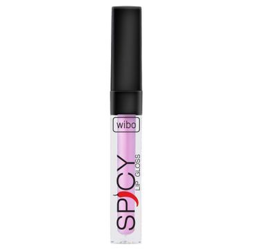 Wibo Lip Gloss Spicy błyszczyk do ust 19 3ml