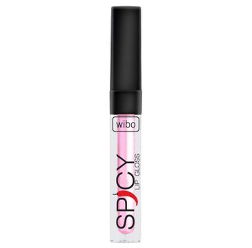 Wibo Lip Gloss Spicy błyszczyk do ust 3 3ml