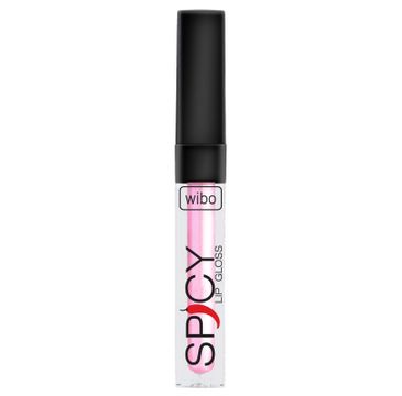 Wibo Lip Gloss Spicy błyszczyk do ust 3 3ml