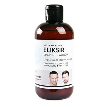 WS Academy Eliksir stabilizująco-odbudowujący szampon do włosów Bezzapachowy 250ml