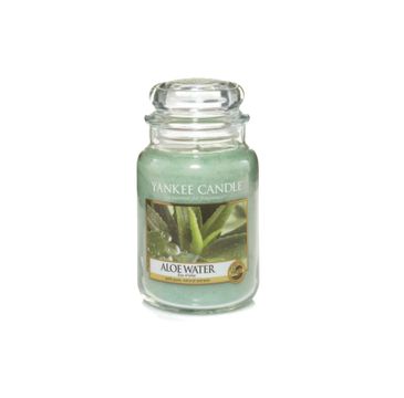 Yankee Candle Świeca zapachowa duży słój Aloe Water 623g