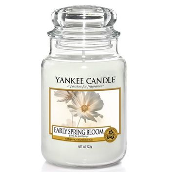 Yankee Candle Świeca zapachowa duży słój Early Spring Bloom 623g