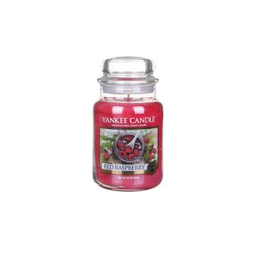 Yankee Candle Świeca zapachowa duży słój Red Raspberry 623g