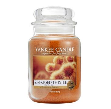 Yankee Candle Świeca zapachowa duży słój Sun Kissed Thistle 623g