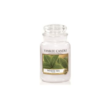 Yankee Candle Świeca zapachowa duży słój White Tea 623g