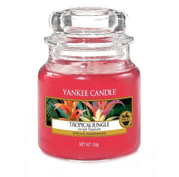 Yankee Candle Świeca zapachowa mały słój Tropical Jungle 104g