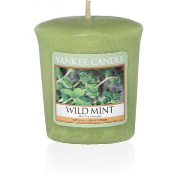 Yankee Candle Świeca zapachowa sampler Wild Mint 49g