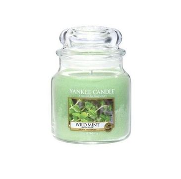 Yankee Candle Świeca zapachowa średni słój Wild Mint 411g