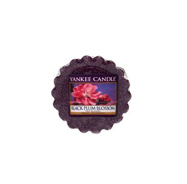 Yankee Candle Wosk zapachowy Black Plum Blossom 22g