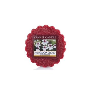 Yankee Candle Wosk zapachowy Madagascan Orchid 22g