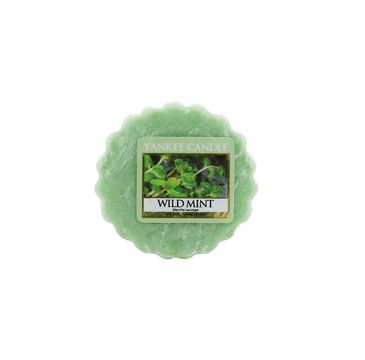 Yankee Candle Wosk zapachowy Wild Mint 22g