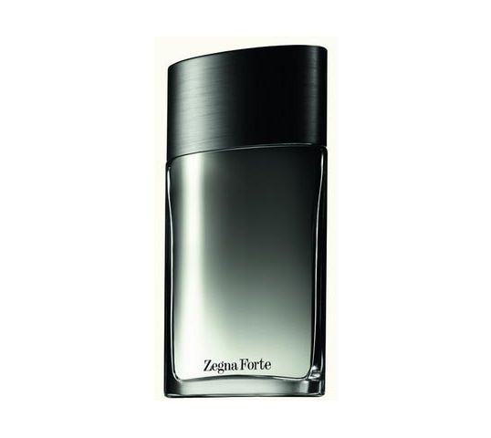 Ermenegildo Zegna Zegna Forte woda toaletowa spray 50ml