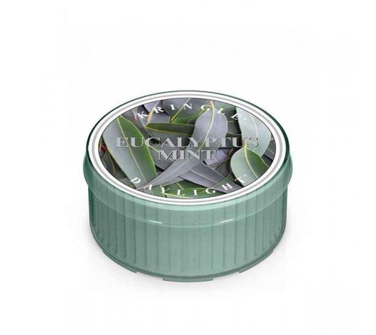Kringle Candle Daylight świeczka zapachowa - Eucalyptus Mint (35 g)