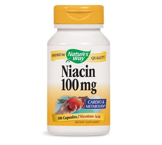Nature's Way Niacin 100mg niacyna suplement diety 100 kapsułek