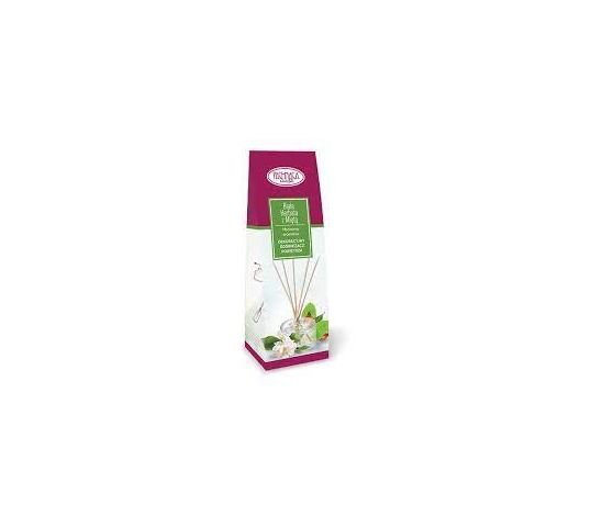 Pachnąca Szafa Odświeżacz Biała Herbata z Miętą (50 ml)