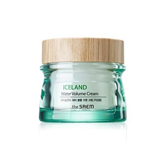 The SAEM Iceland Water Volume Cream Krem nawilżający do twarzy - cera tłusta 80 ml