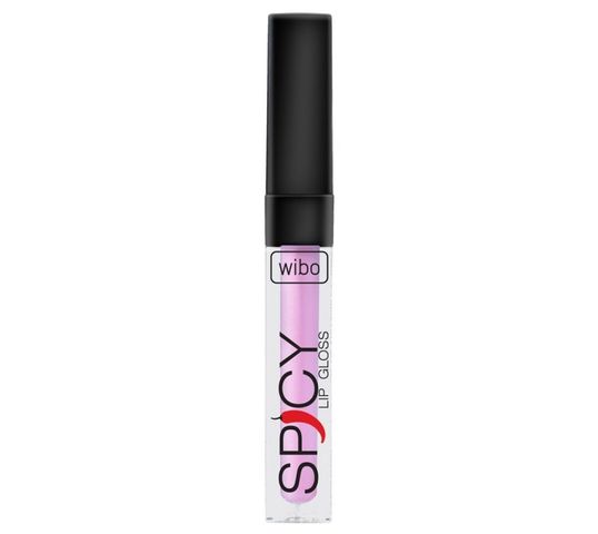 Wibo Lip Gloss Spicy błyszczyk do ust 19 3ml