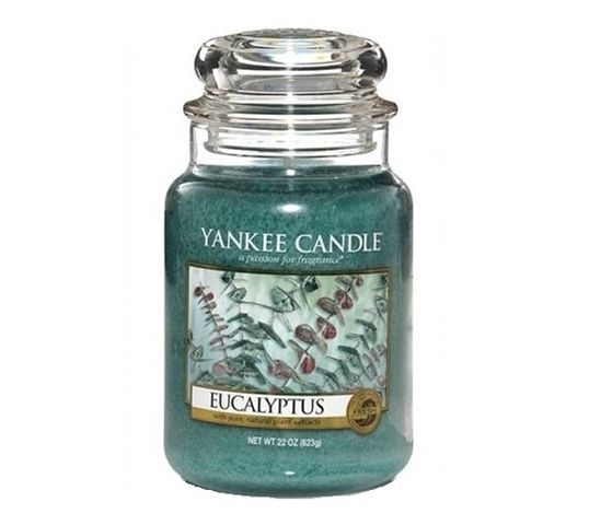 Yankee Candle Świeca zapachowa duży słój Eucalyptus 623g