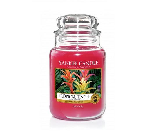Yankee Candle Świeca zapachowa duży słój Tropical Jungle 623g